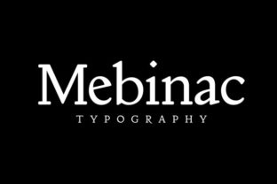 Integrating Mebinac Regular into Your Professional Workflow